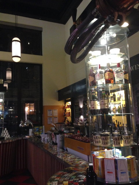 Natural History Bar And Grill - Accommodation Cairns 3