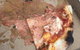SCUGNIZZO - thumb 1