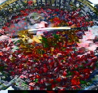 Red Chilli Sichuan Burwood - Accommodation Cairns