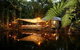 Daintree Eco Lodge & Spa - thumb 2