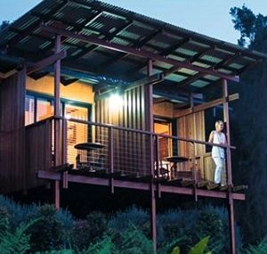 O'Reilly's Rainforest Guesthouse - Accommodation Cairns 1