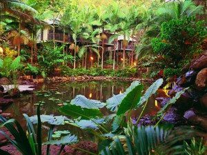 Daintree Eco Lodge & Spa - Accommodation Cairns 0