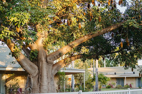 Kimberley Grande Resort & Conf Ctr - Accommodation Cairns 0