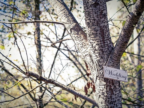 Mercure Ballarat Hotel & Conv Ctr - Accommodation Cairns 17
