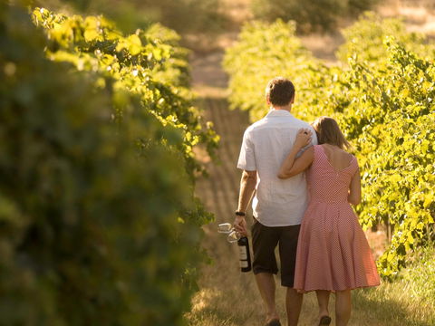 Novotel Barossa Valley Resort - Accommodation Cairns 1
