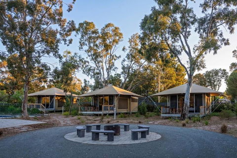 Discovery Parks Barossa Valley - Accommodation Cairns 0