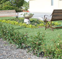 SureStay by BW The Clarence on Melville - Accommodation Cairns