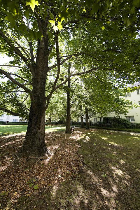 University House - ANU - Accommodation Cairns 28