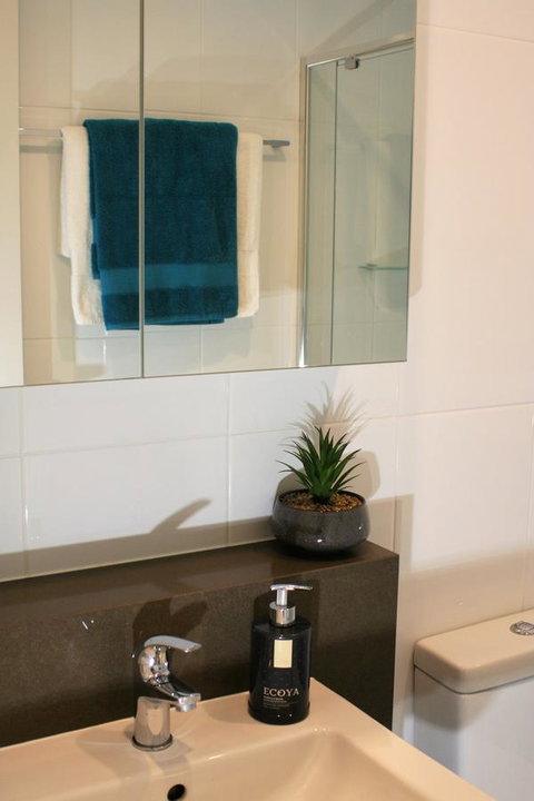 Modern Executive Apt@Barton*1BR*WiFi*Gym*Secure Parking*Canberra - Accommodation Cairns 13