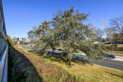 Accommodate Canberra - The Summit - Accommodation Cairns 5