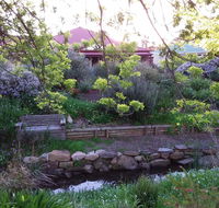 Frog Song at Willunga - Accommodation Cairns
