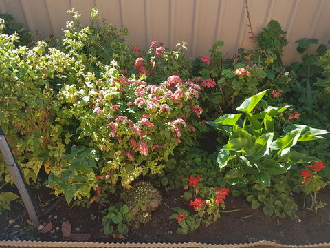 Tanunda\'s Magpie House - Accommodation Cairns 24
