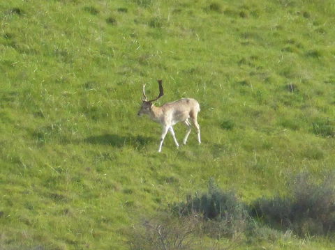 Molly's Chase - Accommodation Cairns 12