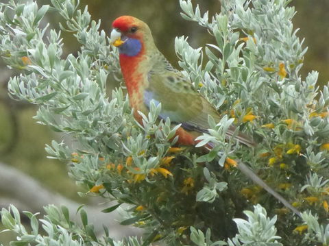 Molly's Chase - Accommodation Cairns 24