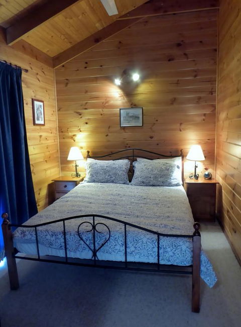 Molly's Chase - Accommodation Cairns 5