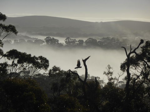 Molly's Chase - Accommodation Cairns 28