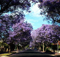 Monaco Court Apartment Adelaide - Accommodation Cairns