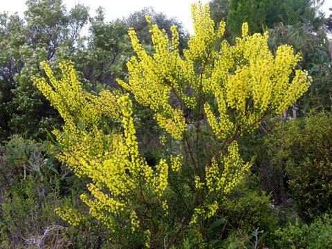 Kestrel Downs - Accommodation Cairns 26