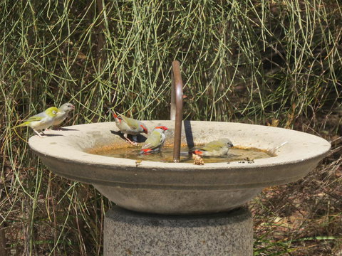 Kestrel Downs - Accommodation Cairns 24