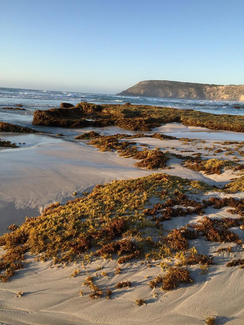 Kestrel Downs - Accommodation Cairns 34