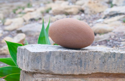 Kestrel Downs - Accommodation Cairns 30