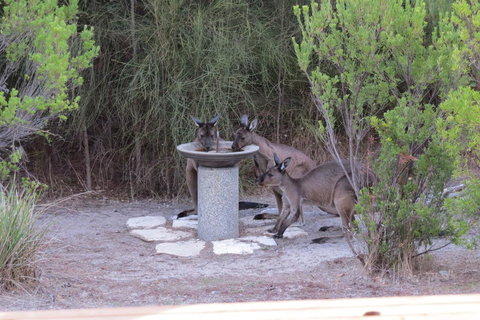 Kestrel Downs - Accommodation Cairns 23