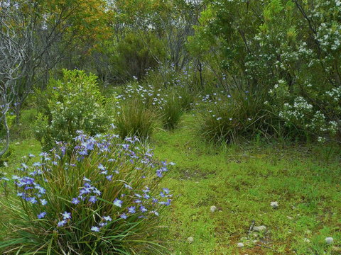 Kestrel Downs - Accommodation Cairns 32