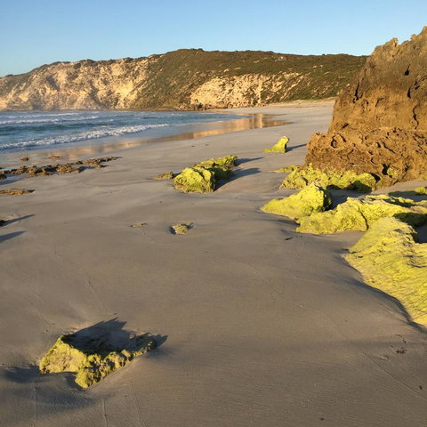 Kestrel Downs - Accommodation Cairns 36