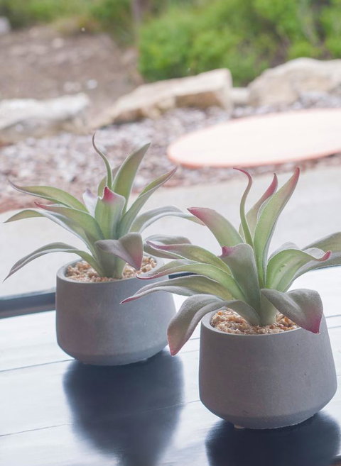 Kestrel Downs - Accommodation Cairns 13