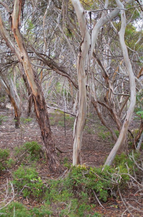 Kestrel Downs - Accommodation Cairns 19