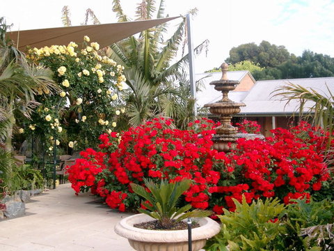 McLaren Vale Motel & Apartments - Accommodation Cairns 35