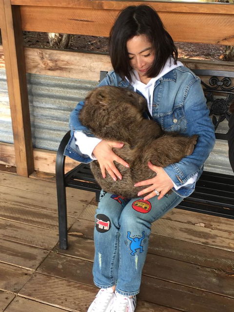 Sea Dragon Kangaroo Island - Accommodation Cairns 34