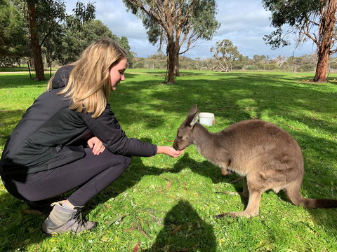 Sea Dragon Kangaroo Island - Accommodation Cairns 33