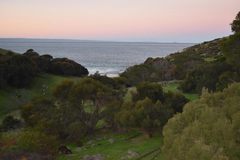 Sea Dragon Kangaroo Island - Accommodation Cairns 30