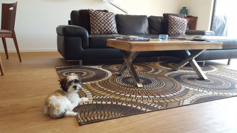 Seagrass Villas Normanville - Accommodation Cairns 21