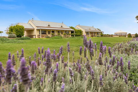 Barossa Vineyard Cottages - Accommodation Cairns 10