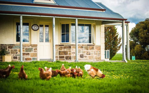 Barossa Vineyard Cottages - Accommodation Cairns 40