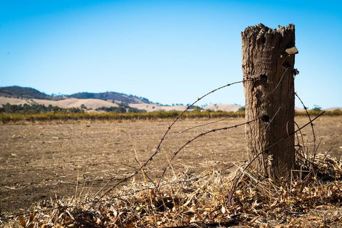 Barossa Vineyard Cottages - Accommodation Cairns 5