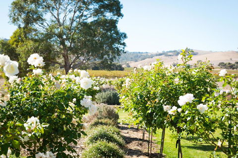 Barossa Vineyard Cottages - Accommodation Cairns 1