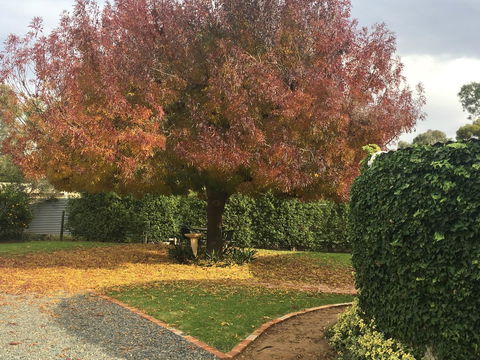 Barossa Retro BnB - Accommodation Cairns 30