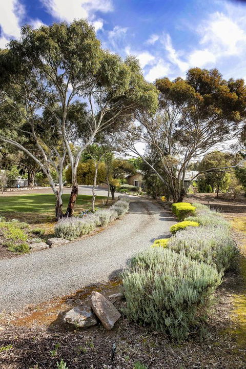 Barossa Retro BnB - Accommodation Cairns 4