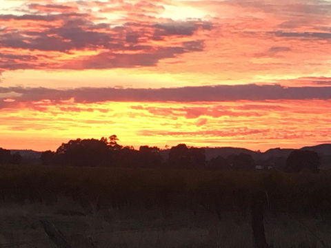 Barossa Retro BnB - Accommodation Cairns 21