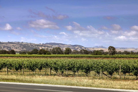 Barossa Retro BnB - Accommodation Cairns 2