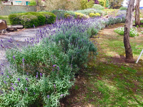 Barossa Retro BnB - Accommodation Cairns 23