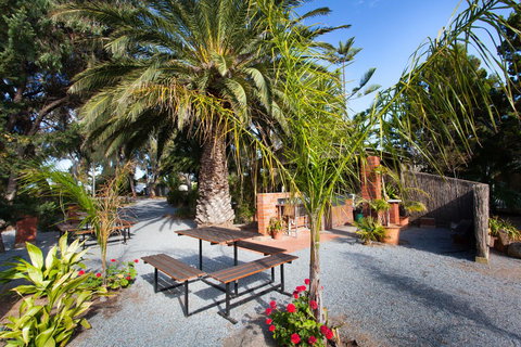 Modra\'s Apartments - Accommodation Cairns 19