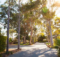 Modra's Apartments - Accommodation Cairns
