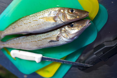 Modra\'s Apartments - Accommodation Cairns 17