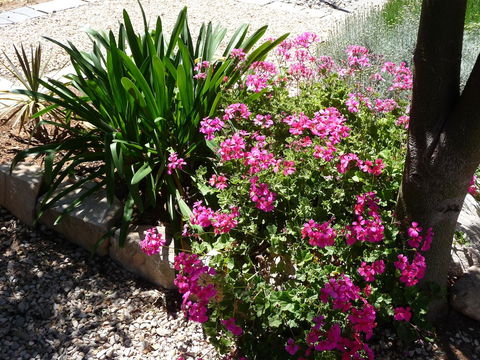 Country Bakehouse Accommodation - Accommodation Cairns 18