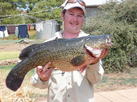 Country Bakehouse Accommodation - Accommodation Cairns 20