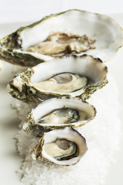 Port Lincoln Hotel - Accommodation Cairns 29